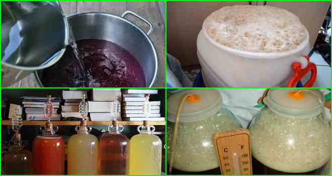 Подкормка браги для самогона: 9 способов в домашних условиях