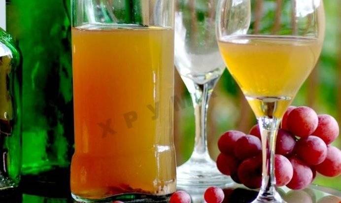 «виноградная лоза»