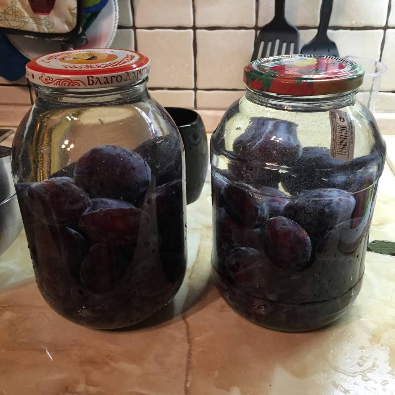 Настойка на черносливе на спирту или самогоне ⋆ рецепты домашнего алкоголя