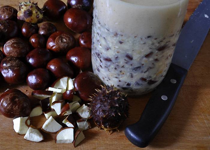 Полезные свойства конского каштана, рецепт настойки, применение плодов и цветков в народной медицине