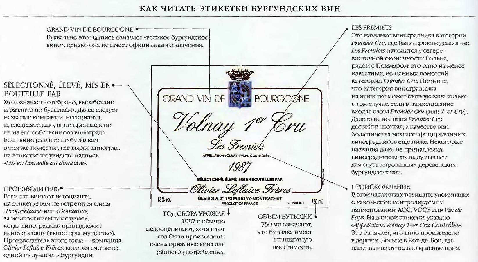 Наливка из чернослива: 2 рецепта в домашних условиях