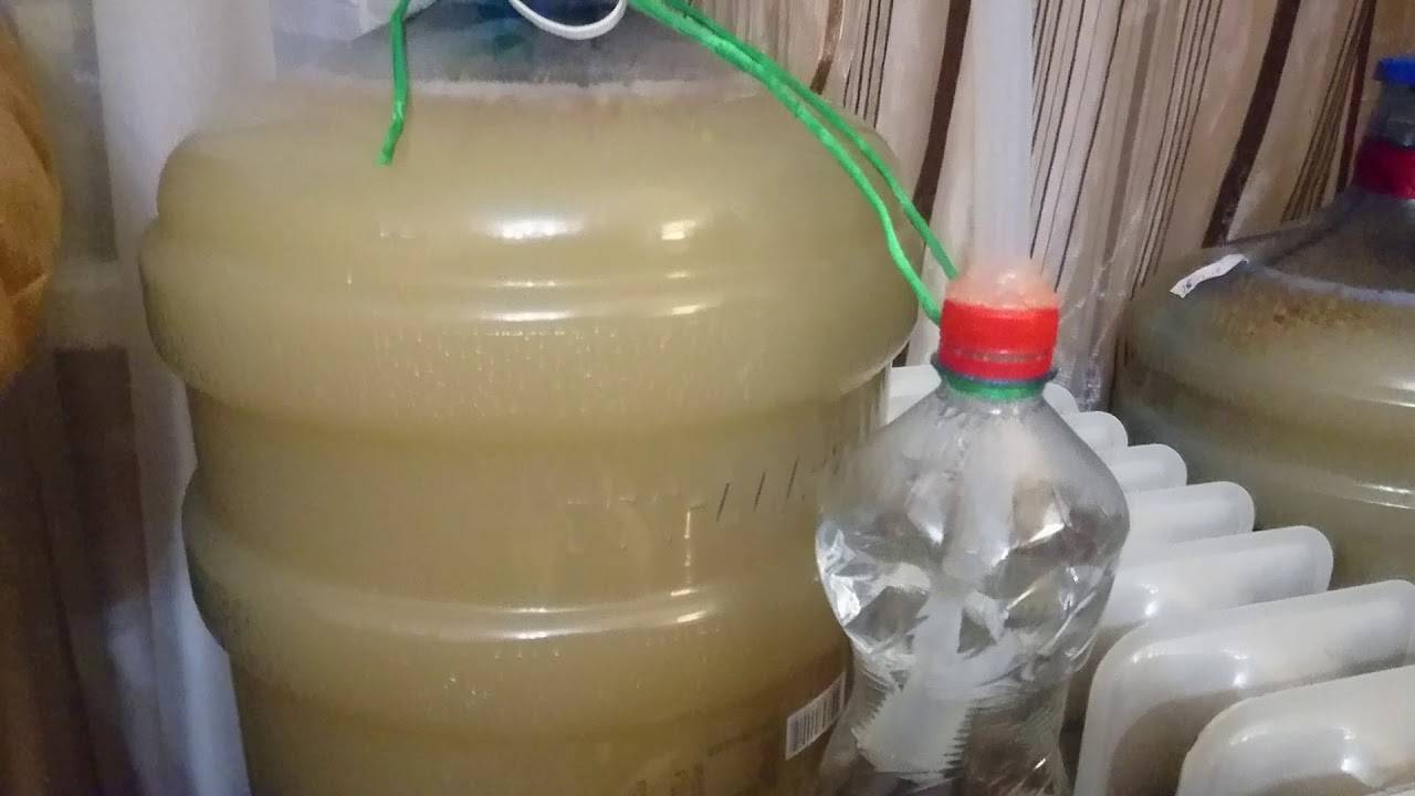 Как сделать брагу для питья: быстрый рецепт