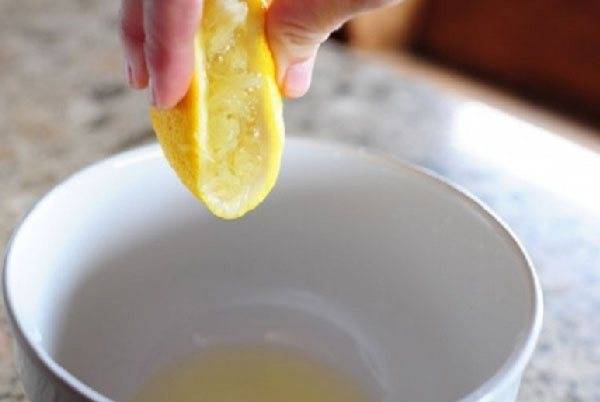 Сироп из мяты: как приготовить мятный сироп в домашних условиях - вкусный десерт своими руками