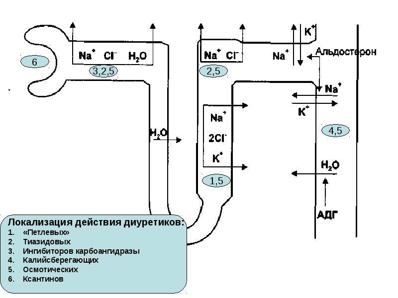 Мочегонные препараты при отеках и давлении, лучшие средства для приема