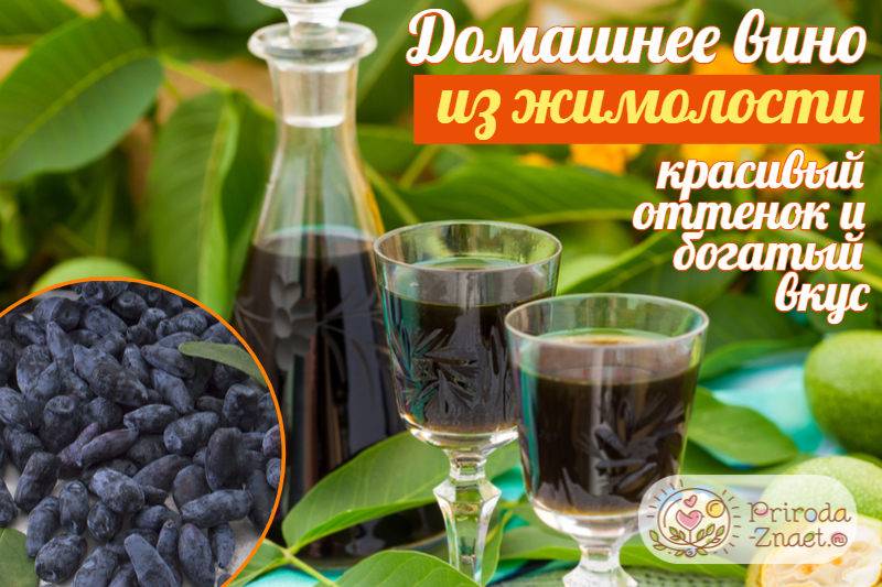 Настойка из жимолости: 3 рецепта в домашних условиях