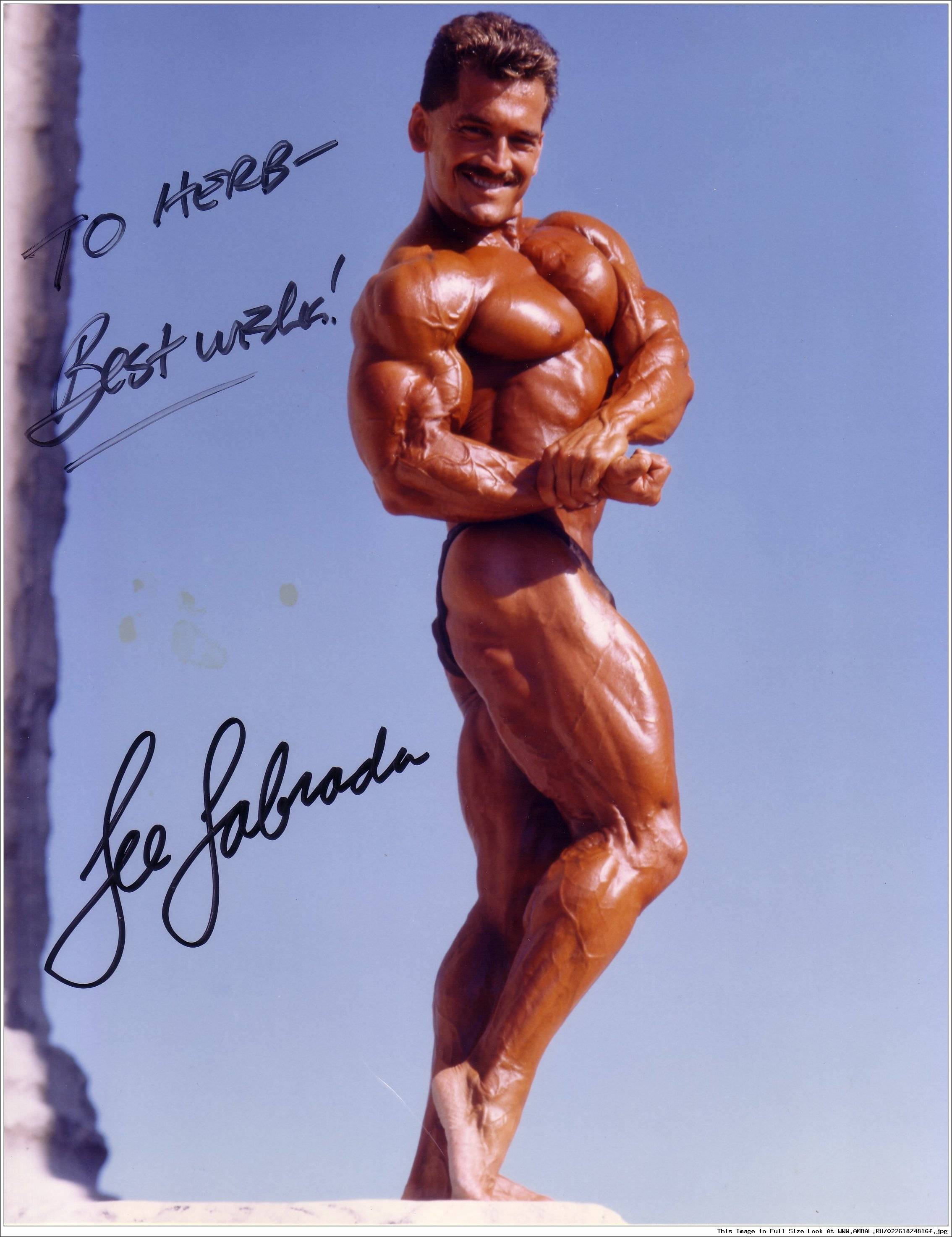 Ли лабрада (lee labrada) биография бодибилдера