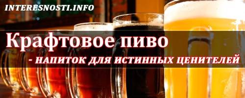 Смородиновая наливка: 7 рецептов в домашних условиях