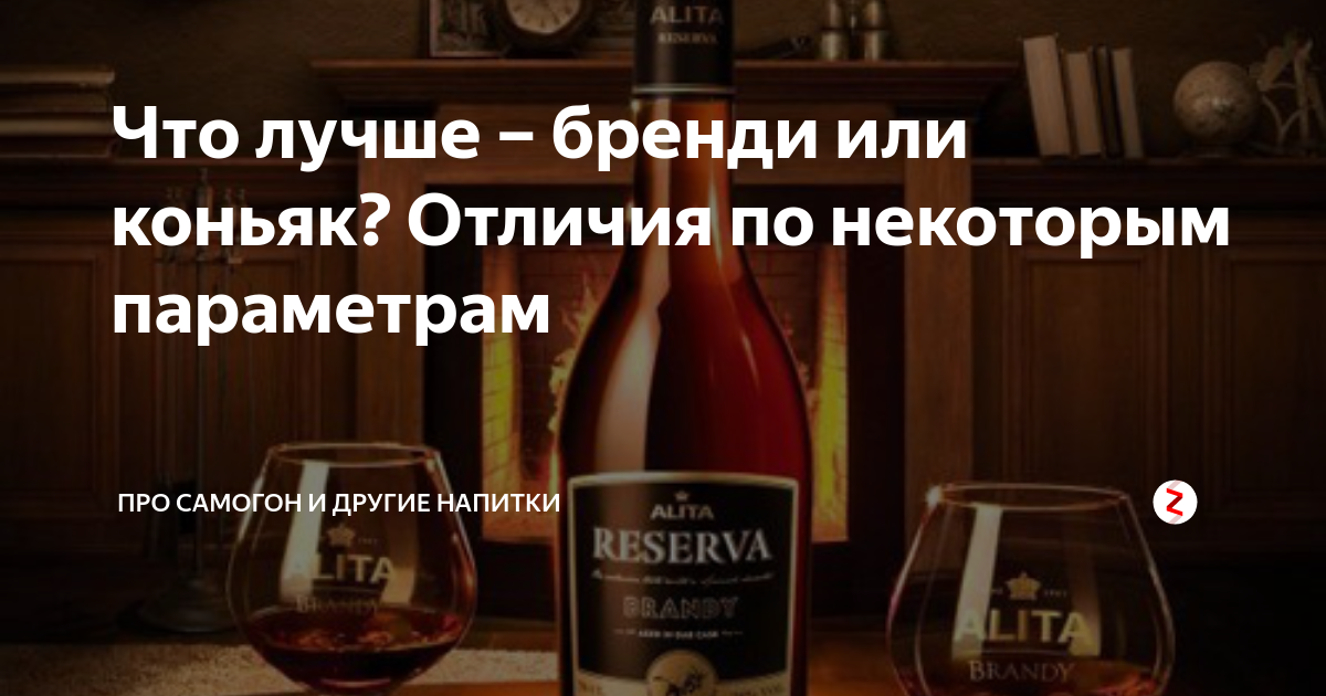 Отличие бренди от коньяка. в чем же соль?