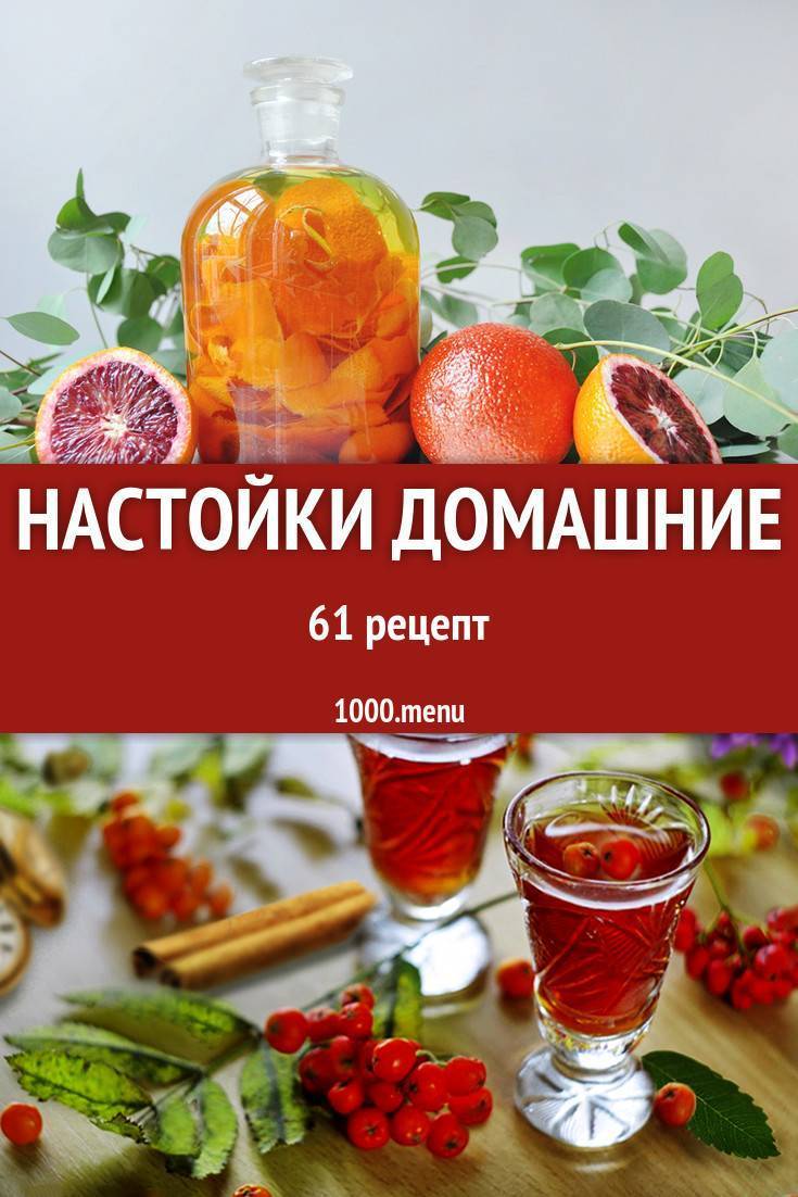 Вино из жимолости в домашних условиях: простой рецепт приготовления