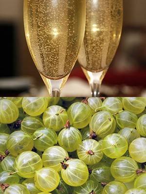 Слаш: что это + 5 рецептов в домашних условиях