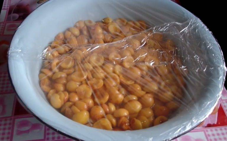 Как сделать цукаты из абрикосов в домашних условиях по пошаговому рецепту - кушаем вкусно