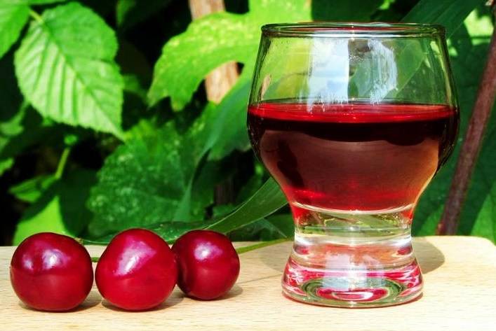 Настойка из черемухи: 6 рецептов в домашних условиях