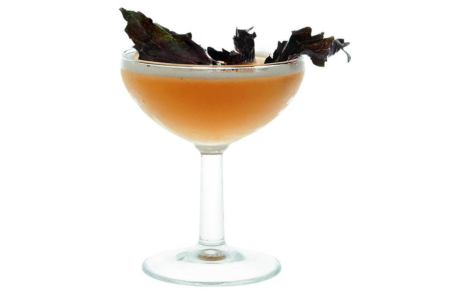 Самбука коктейль: 100 фото проверенных рецептов и советы как и с чем сочетается самбука