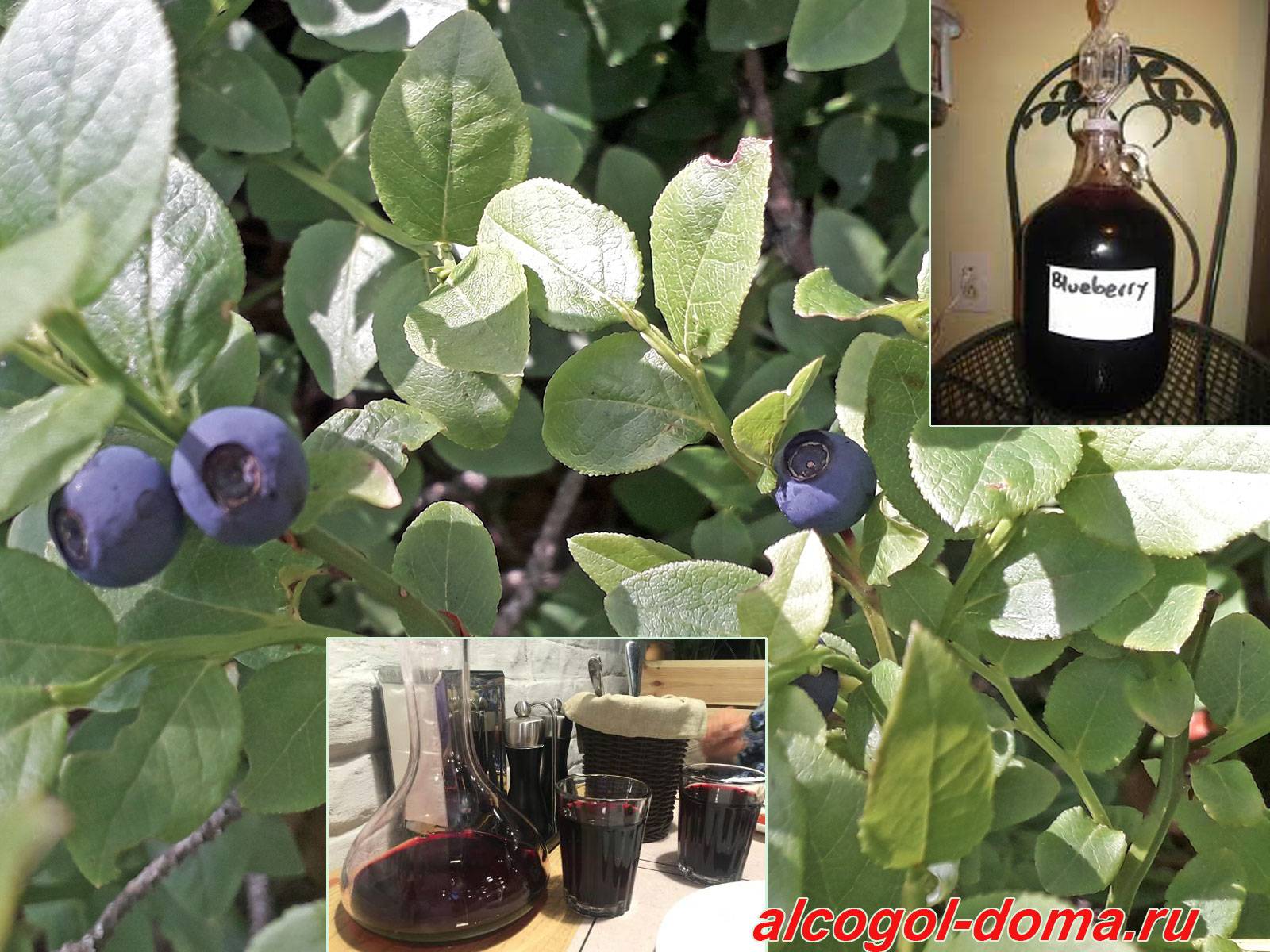 Домашнее вино из черники простой рецепт - простые пошаговые рецепты с фотографиями