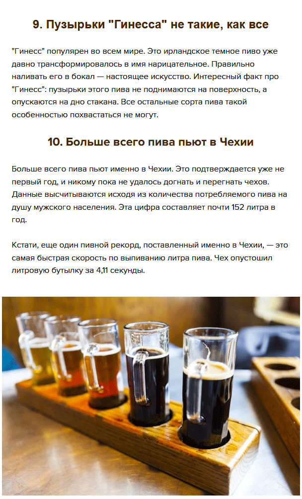 Пиво radeberger: история, особенности, как и с чем пить + как отличить подделку