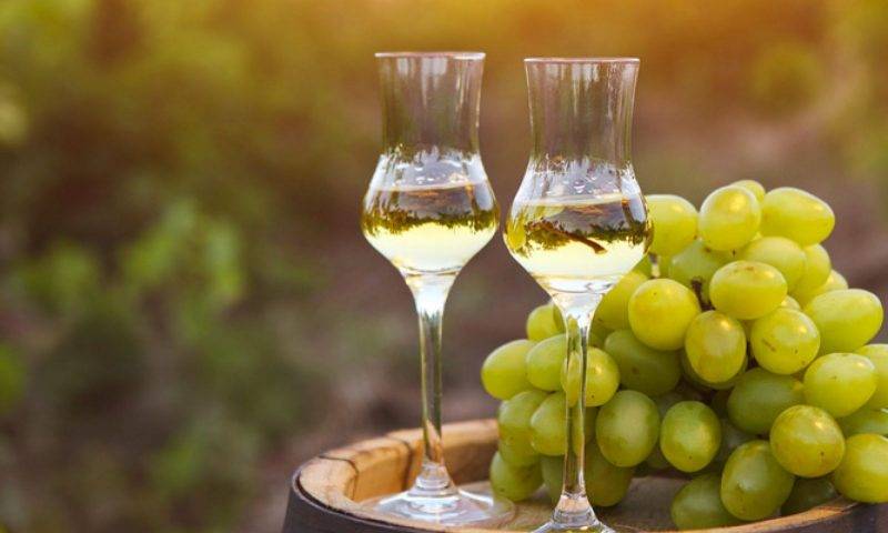 Брага на сухих дрожжах: как выбрать и поставить брагу + нюансы