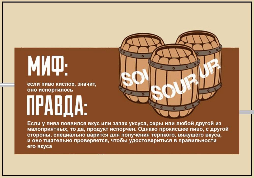 Пиво василеостровское: история + обзор видов коротко