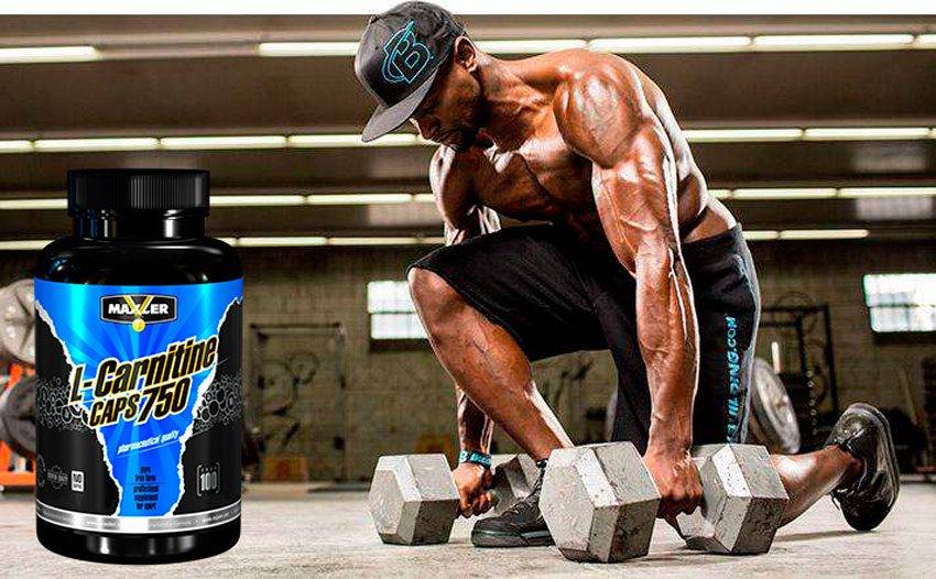 L-carnitine от maxler: как принимать, что нужно знать о добавке
