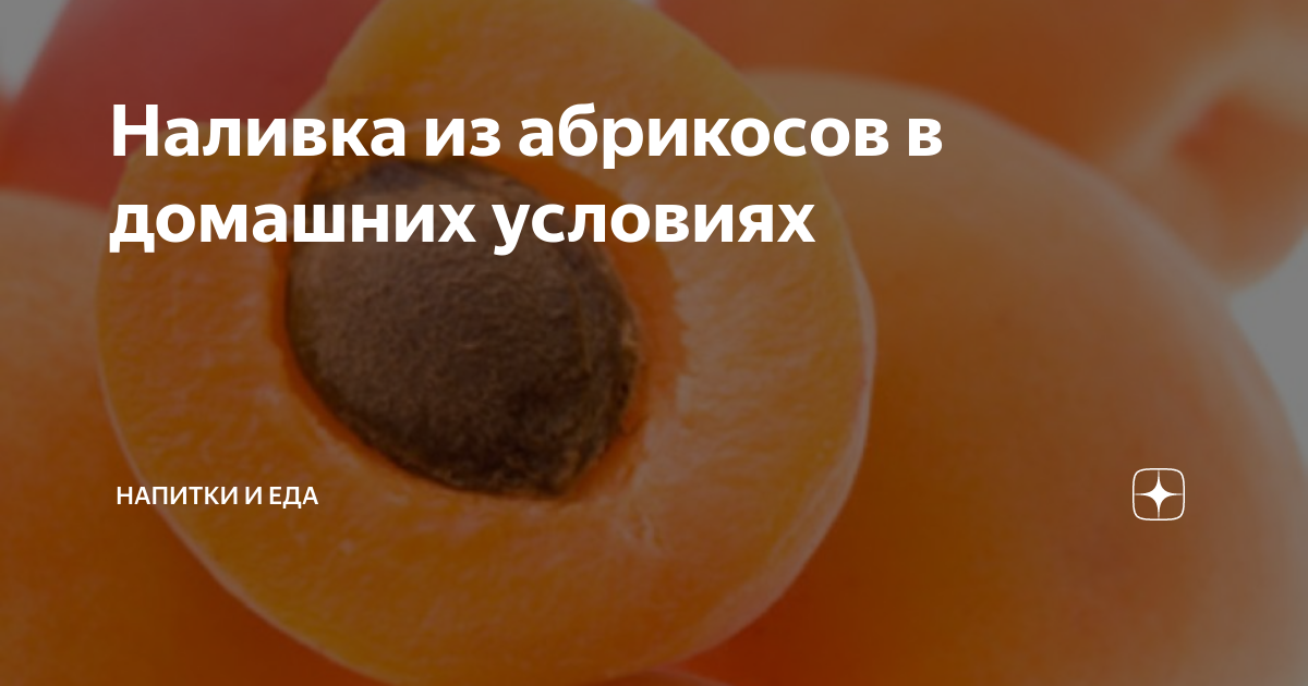 Настойка из абрикосов — простые рецепты абрикосовой настойки в домашних условиях