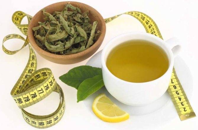 Зеленый чай с молоком для похудения: рецепты, противопоказания