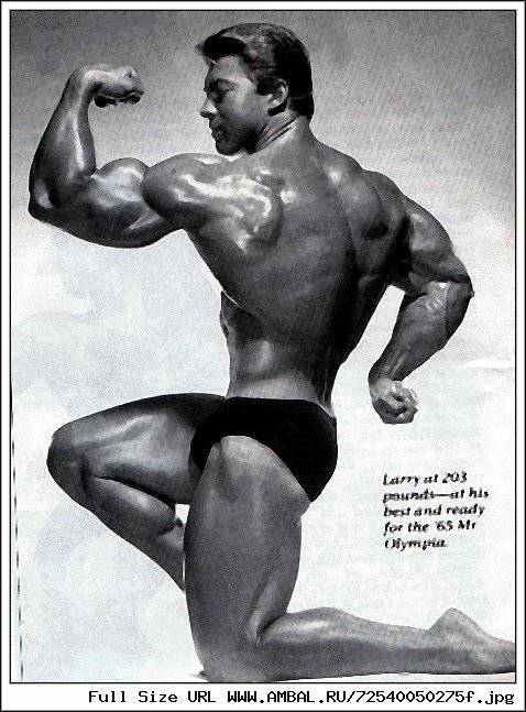 Винса жиронда биография таланты и программа тренировок