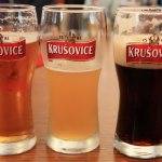 Королевское пиво «krusovice» – бриллиант среди чешского пива!