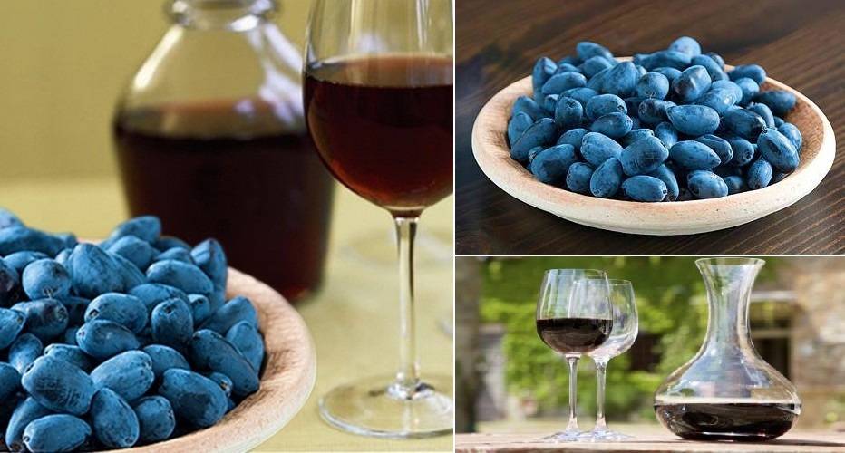 Настойка из жимолости на водке (самогоне) в домашних условиях