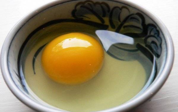 Яйца: стоит ли их включать в рацион