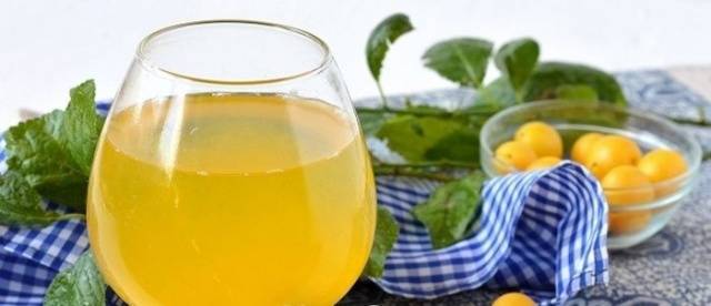 Настойка из жимолости: 3 рецепта в домашних условиях