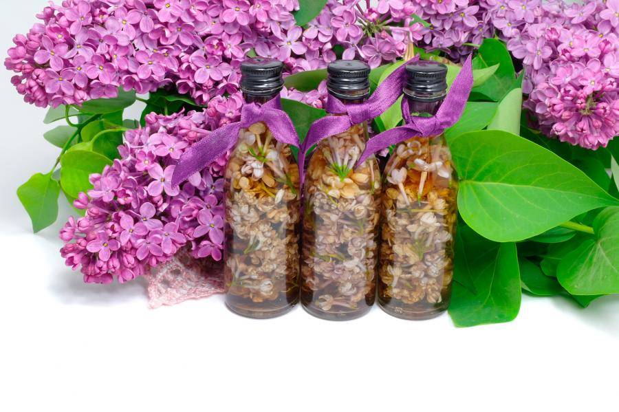 Настойка сирени на водке – применение наружно и внутрь