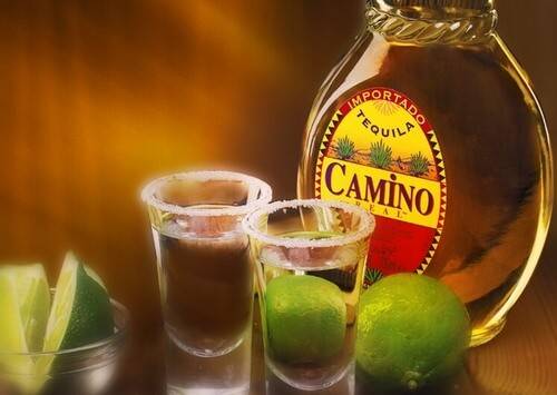 Текила: что нужно знать, история, процесс производства, классификация, как выбрать и условия хранения