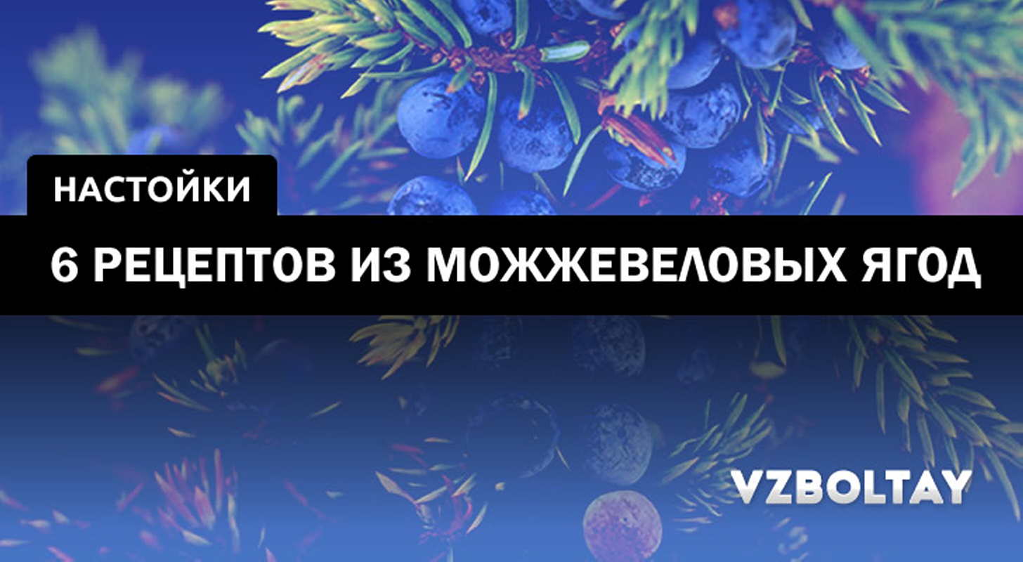 Полезная можжевеловая настойка на спирту и самогоне дома