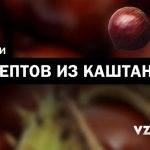 Как приготовить настойку из каштанов для суставов