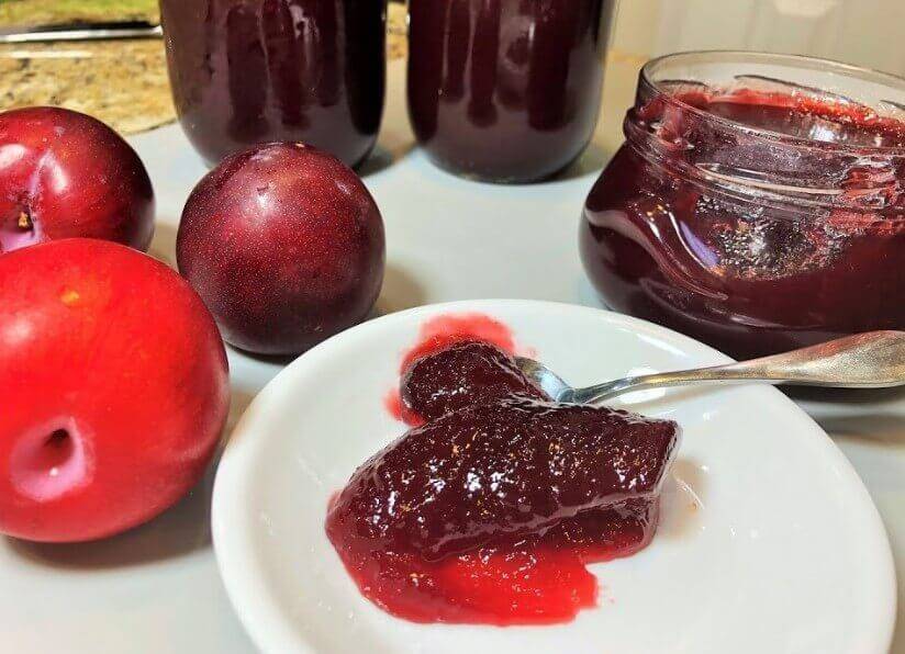 Три рецепта наливки из алычи в домашних условиях