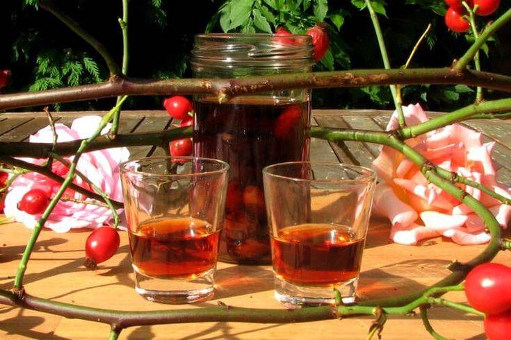 От чего помогает настойка на шиповнике на самогоне? как правильно настоять в домашних условиях