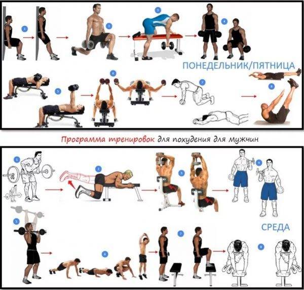 Круговые тренировки для сжигания жира для мужчин в тренажерном зале: варианты комплексов упражнений для похудения