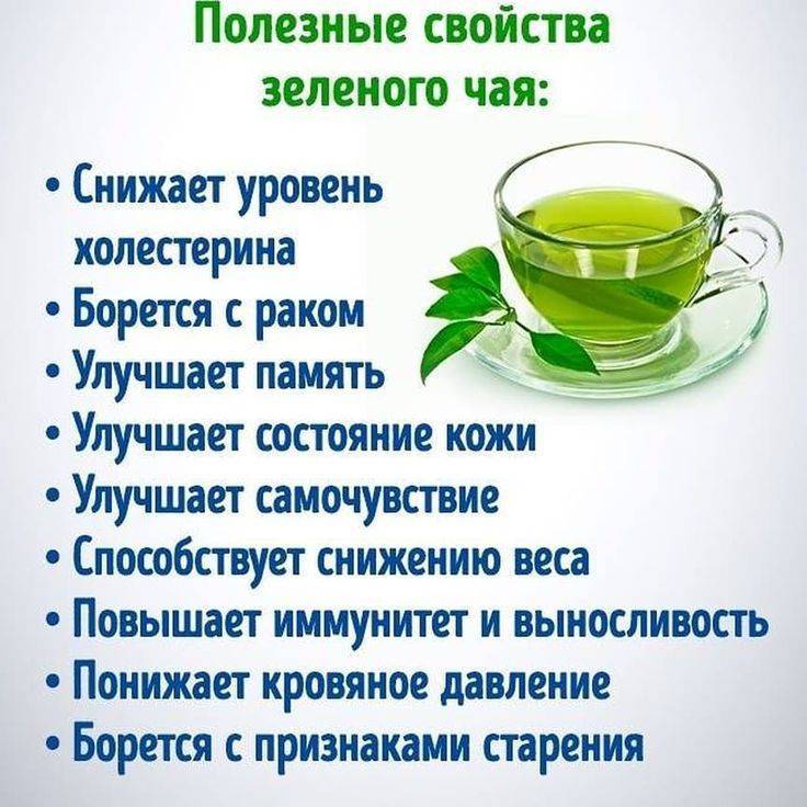 Зеленый Чай На Диете Можно