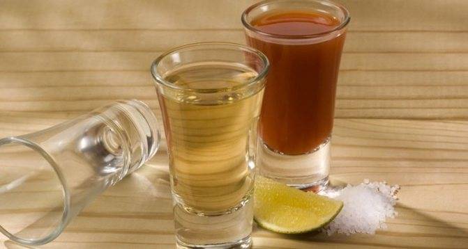 Чем запивать текилу. рецепты сангриты | выпейменя.рф