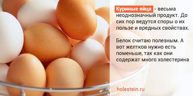 Сырое яйцо натощак | польза или вред для организма