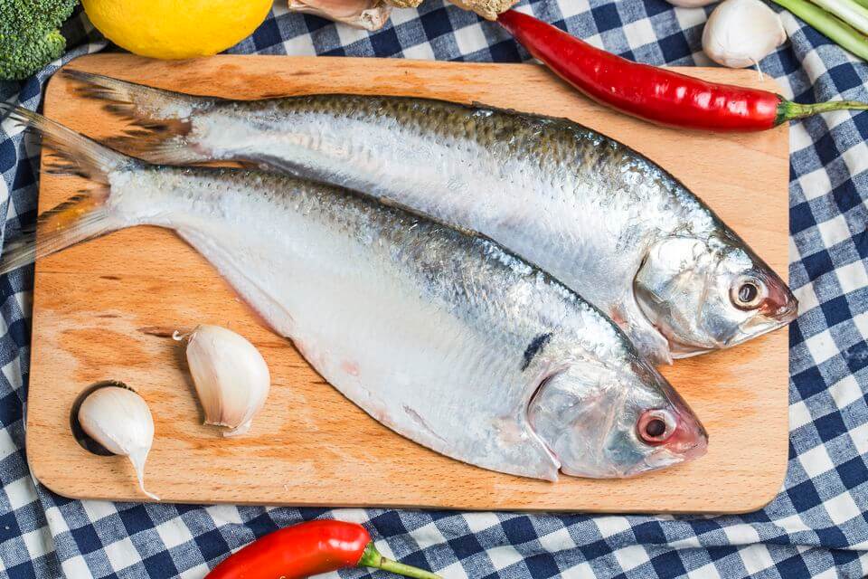 Жирные сорта рыбы: список, польза для здоровья | пища это лекарство