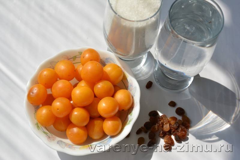 Настойка из алычи ???? - 5 замечательных рецептов | alco-safe | яндекс дзен