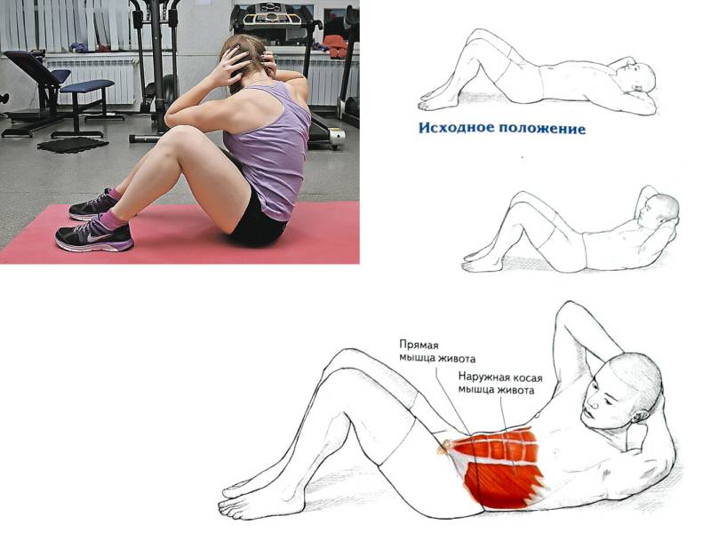 Скручивания на пресс: техника выполнения, все виды упражнения