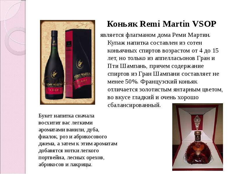 Чем отличается бренди от коньяка