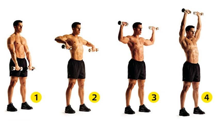 Жим гантелей лежа на наклонной (под углом) и горизонтальной скамье: техника выполнения, виды и программы