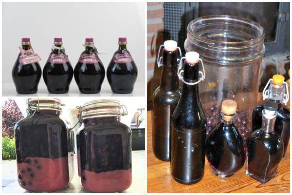 Настойка из черемухи: 6 рецептов в домашних условиях