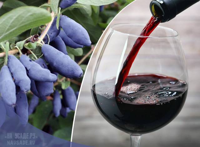 Настойка на бруснике: 6 рецептов в домашних условиях