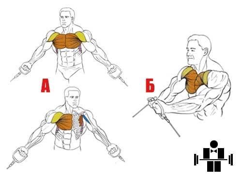 Упражнение «кроссовер»: техника, особенности и виды