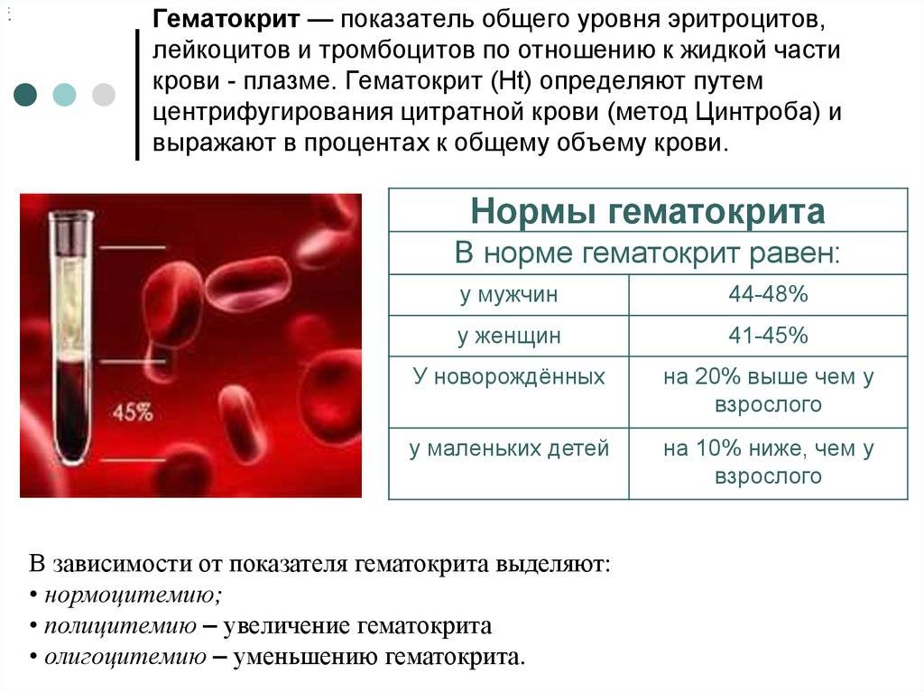 Диета При Повышенных Тромбоцитах В Крови