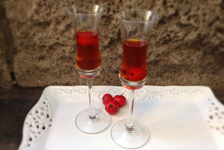 Настойка на бруснике: 6 рецептов в домашних условиях