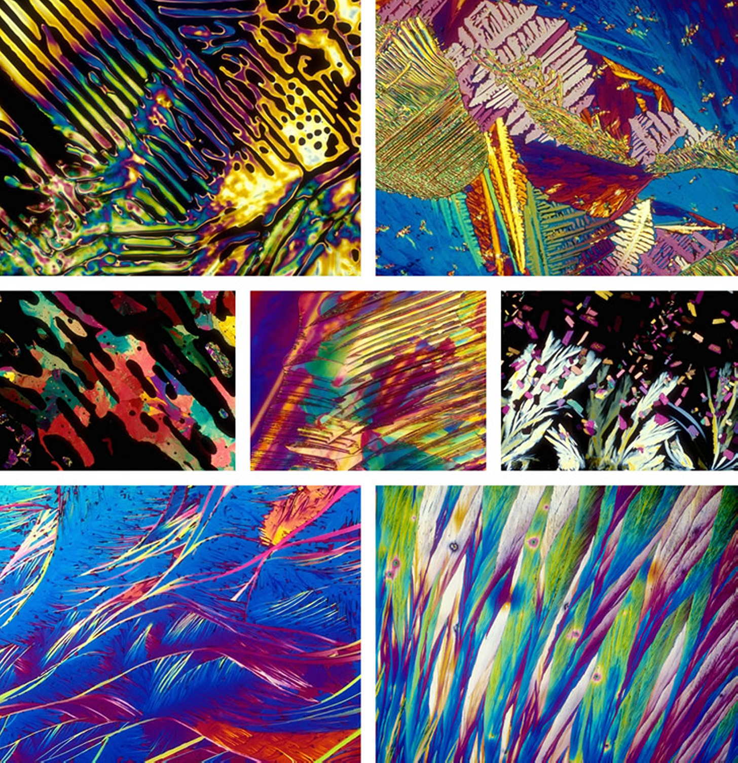 Пиво лагер: история, особенности, виды, как и с чем пить